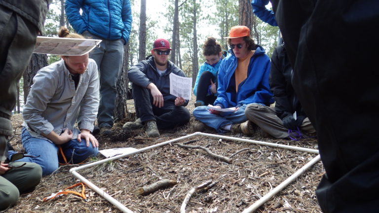 Students collecting data on a forest floor