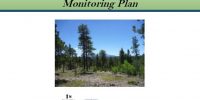 Monitoring Plan paper title page