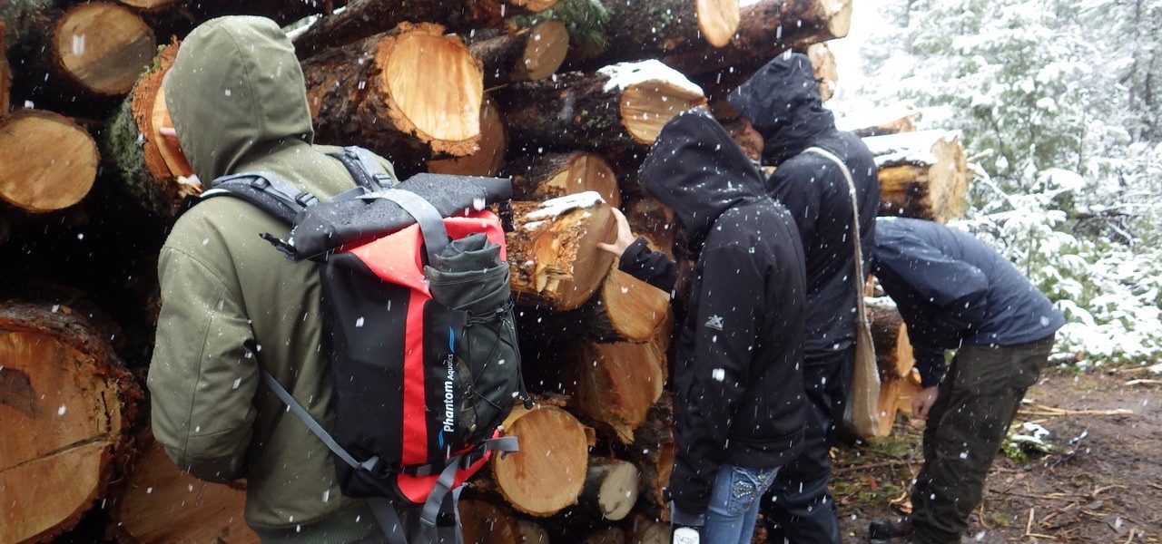 crew members measuring logs