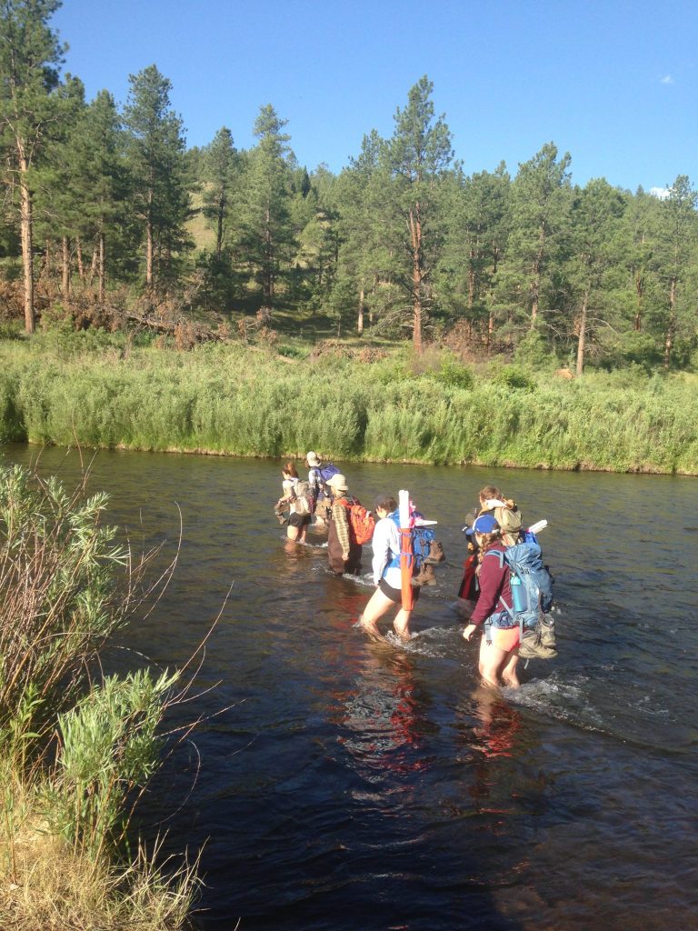 CFRI crew members cross a river to get to a plot