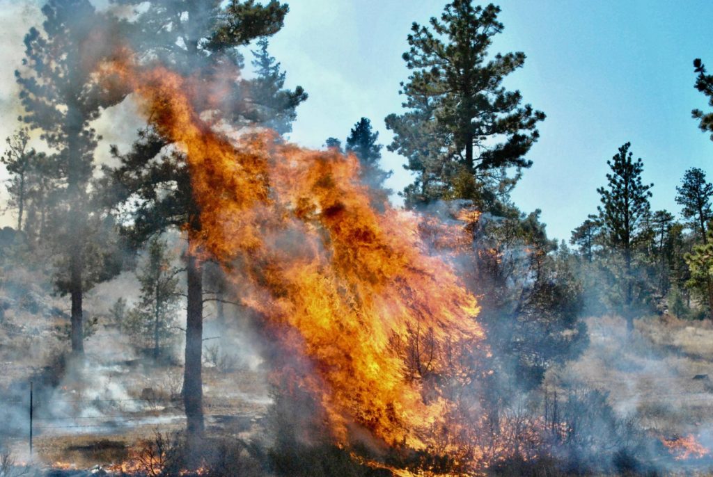 Prescribed Fire in Northern Colorado