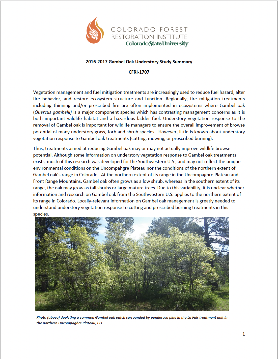 2016-2017 Gambel Oak Understory Study Summary