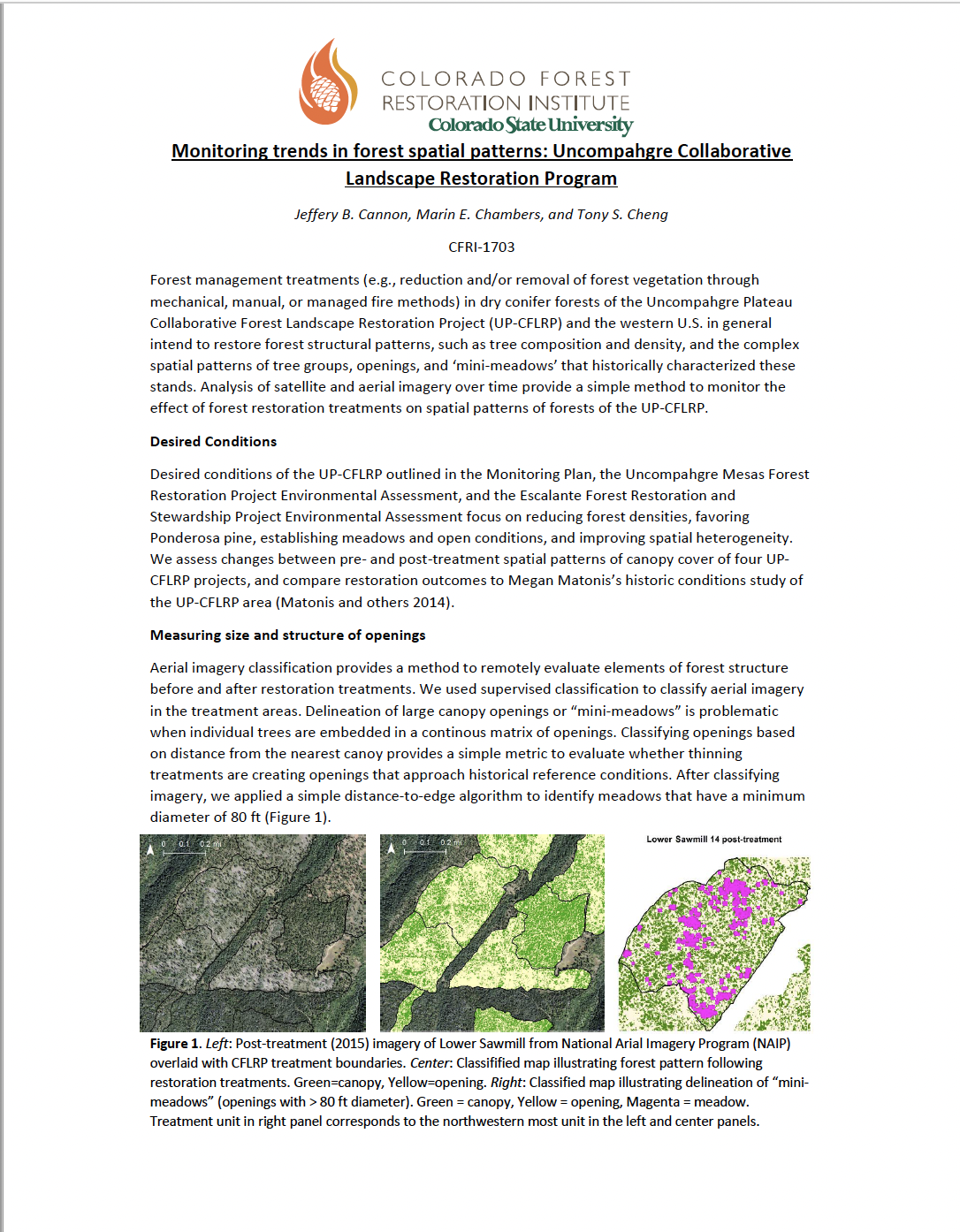 Monitoring trends in forest spatial patterns: Uncompahgre Collaborative Landscape Restoration Program