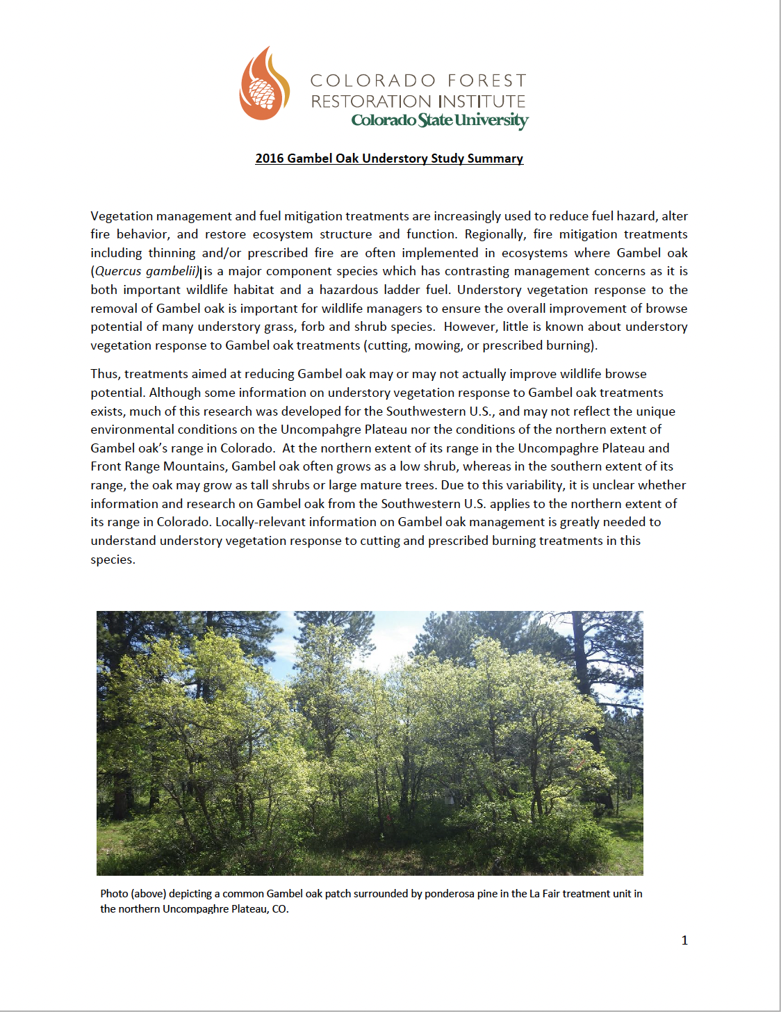 2016 Gambel Oak Understory Study Summary