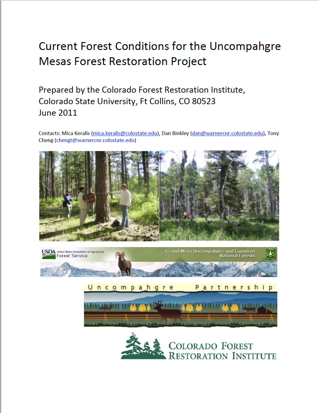 Current Forest Conditions for the Uncompahgre Mesas Forest Restoration Project