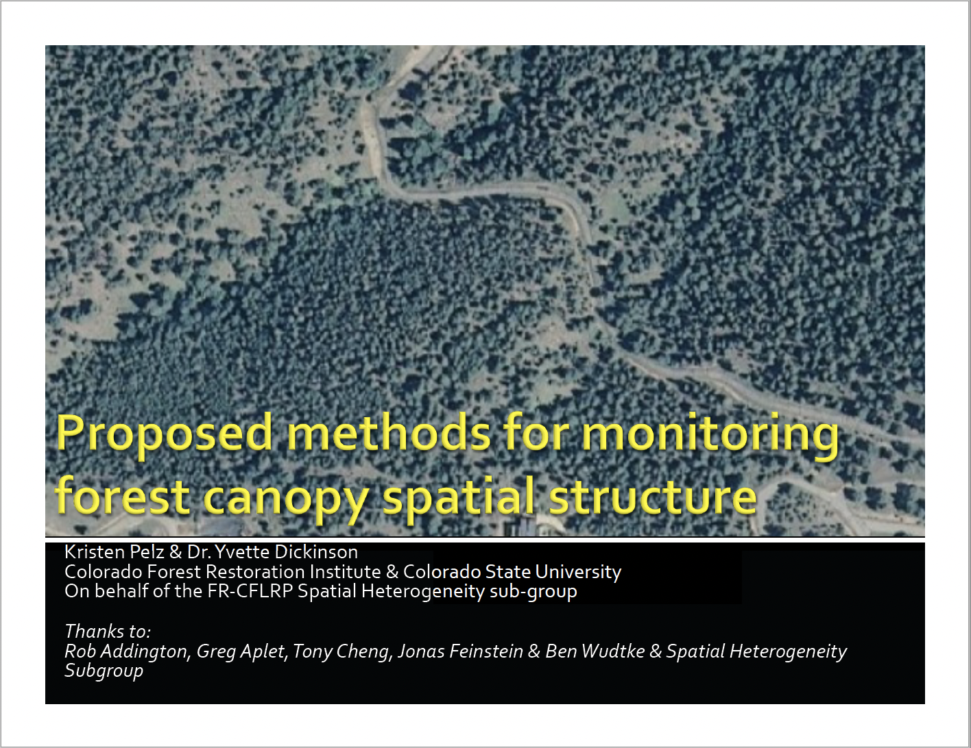 Proposed methods for monitoring forest canopy spatial structure