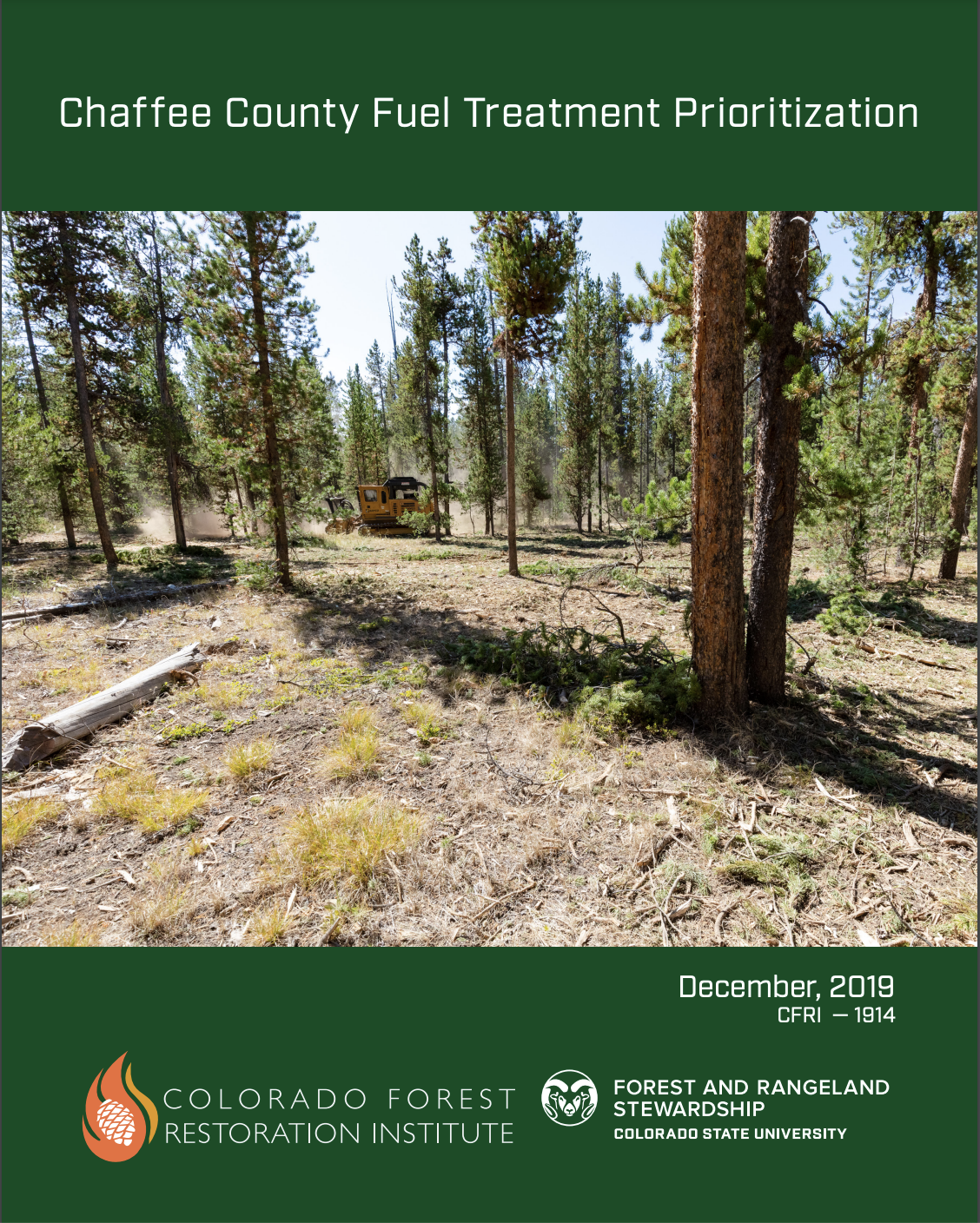 Chaffee County Fuel Treatment Prioritization