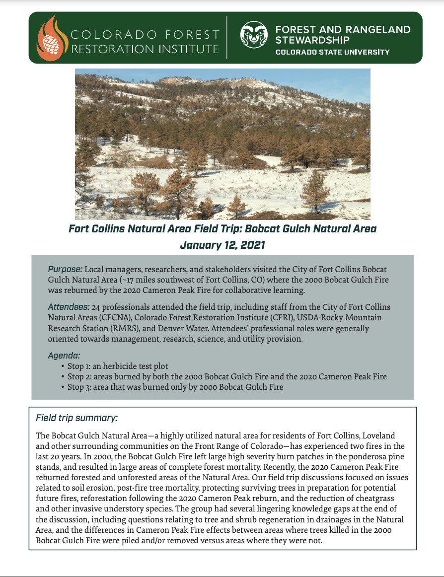 Fort Collins Natural Area Field Trip: Bobcat Gulch Natural Area January 12, 2021