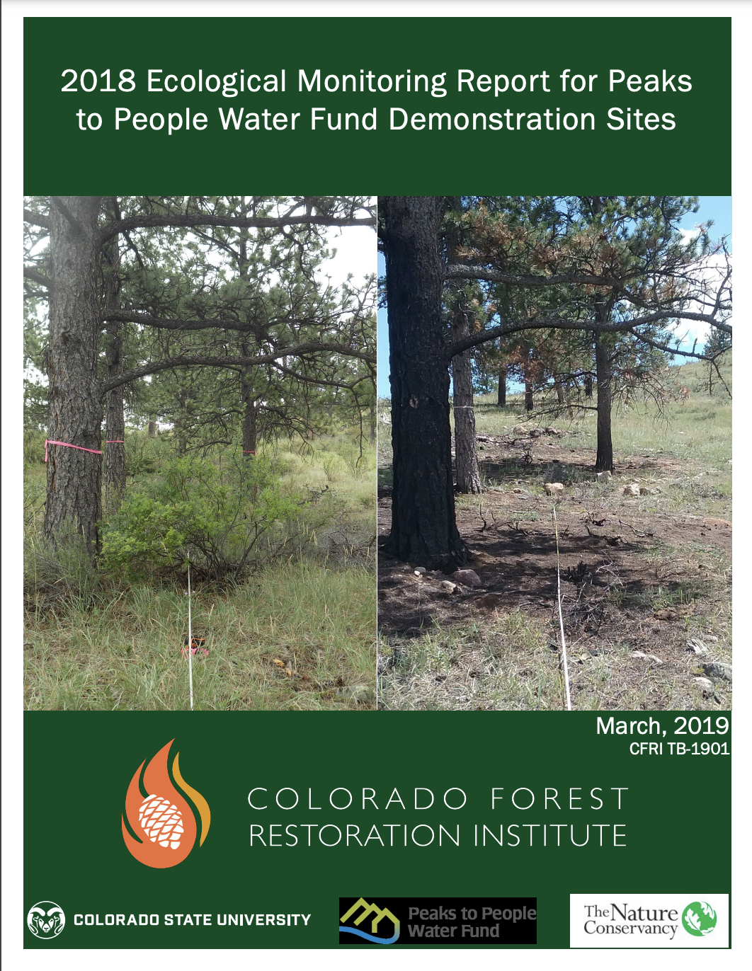 2018 Ecological Monitoring Report for Peaks to People Water Fund Demonstration Sites