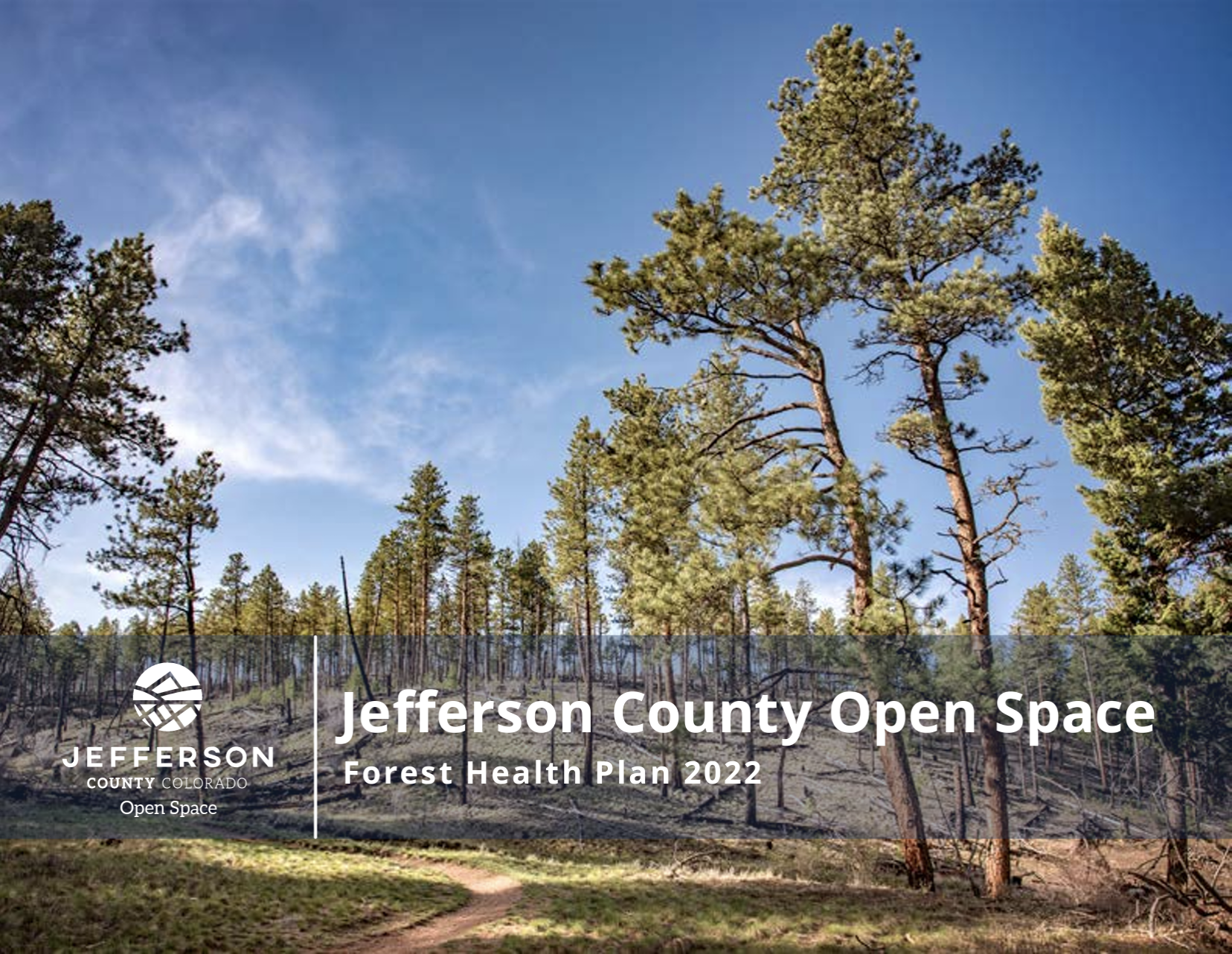 Jefferson County Open Space Forest Health Plan 2022