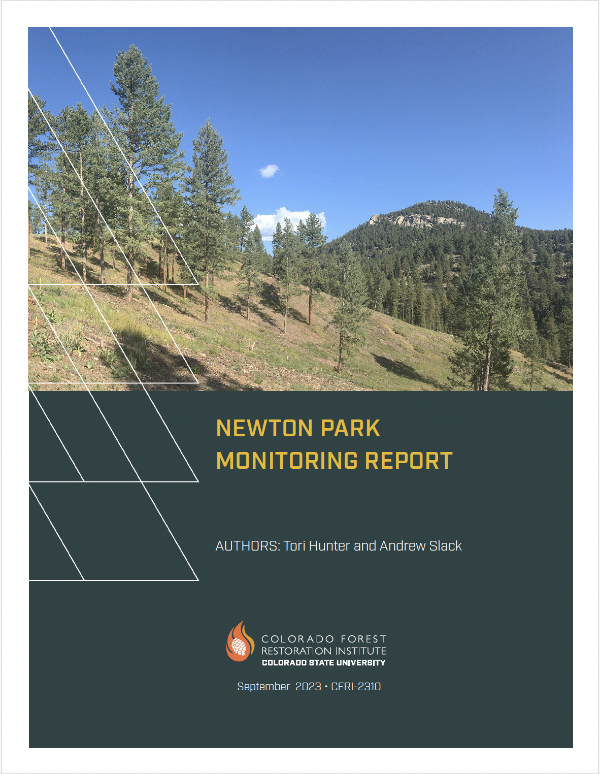 Newton Park Monitoring Report