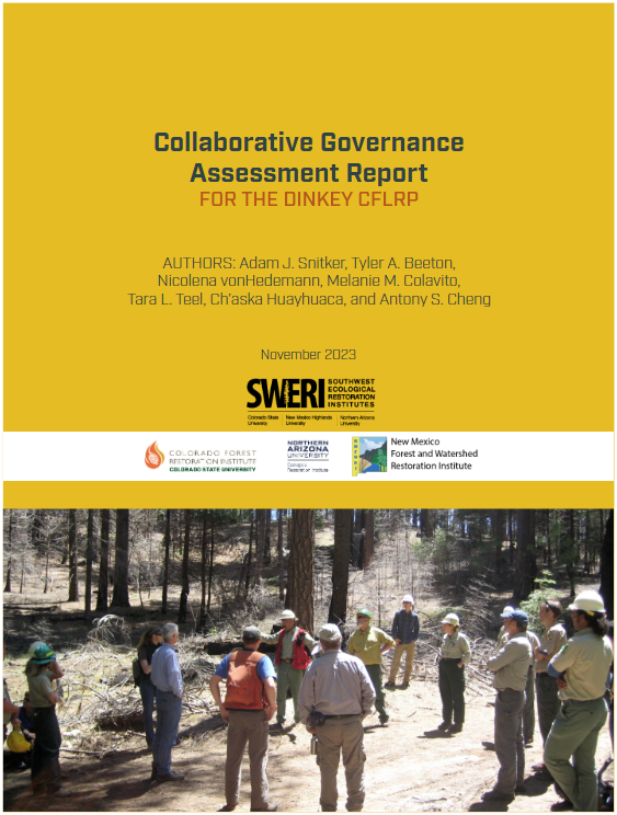 Collaborative Governance Assessment Report – For the Dinkey CFLRP
