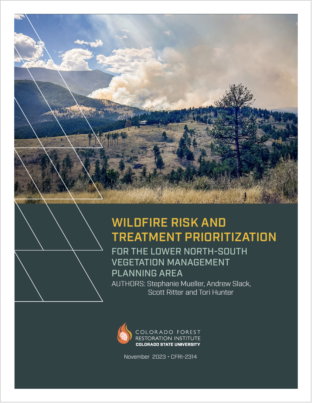 Wildfire Risk and Treatment Prioritization for the Lower North-South Vegetation Management Planning Area