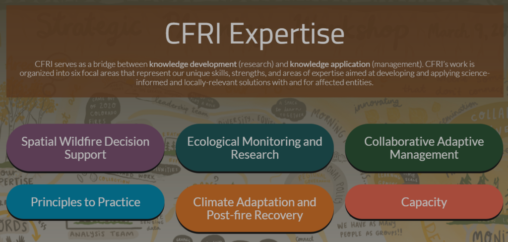Check out our new Expertise page!