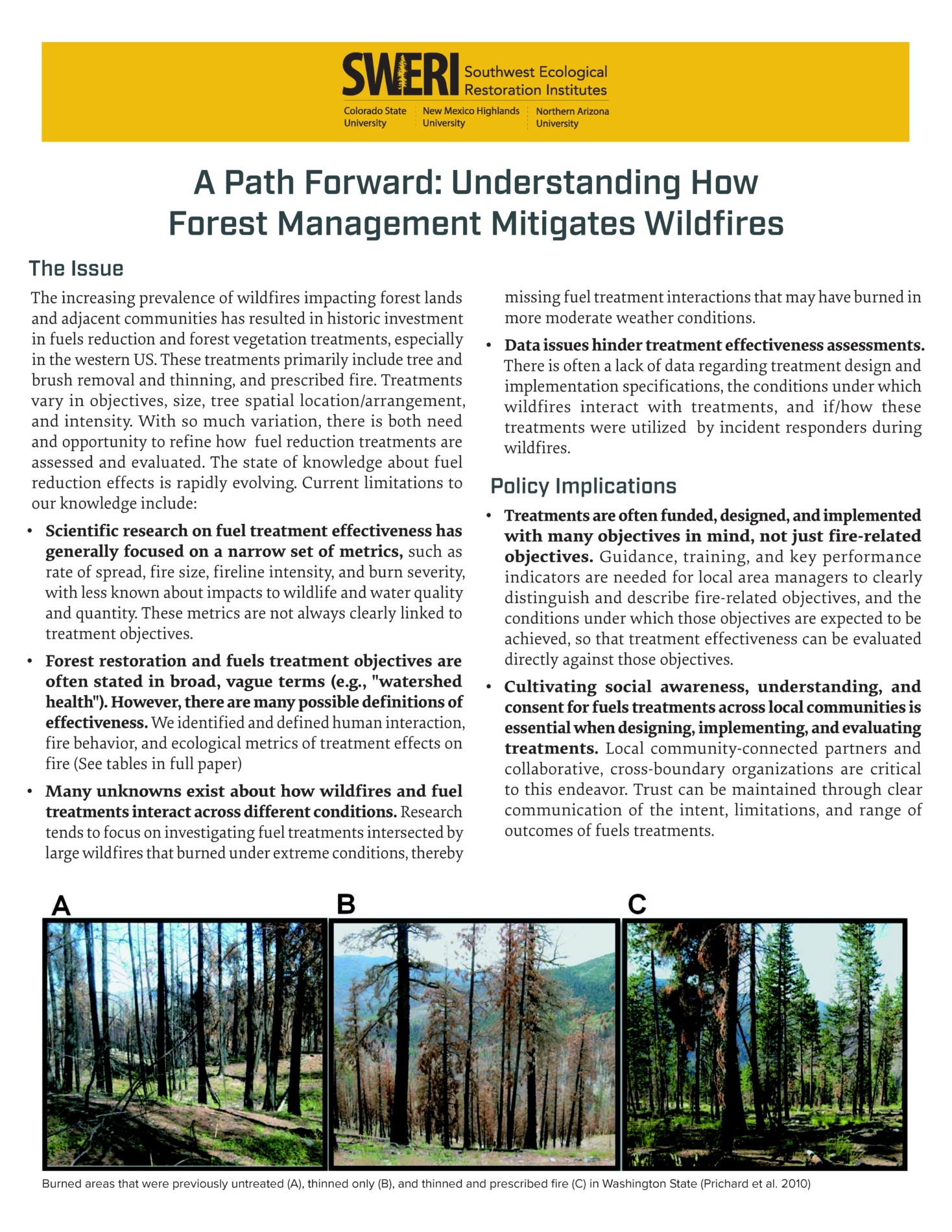 A Path Forward: Understanding How Forest Management Mitigates Wildfires