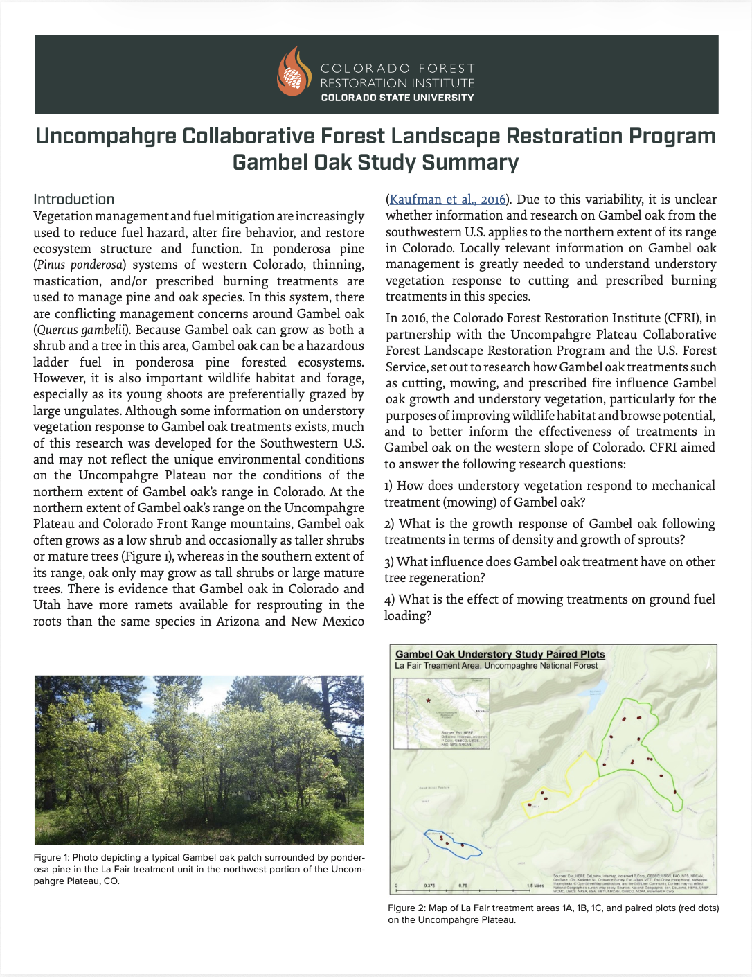 Uncompahgre Collaborative Forest Landscape Restoration Program – Gambel Oak Study Summary