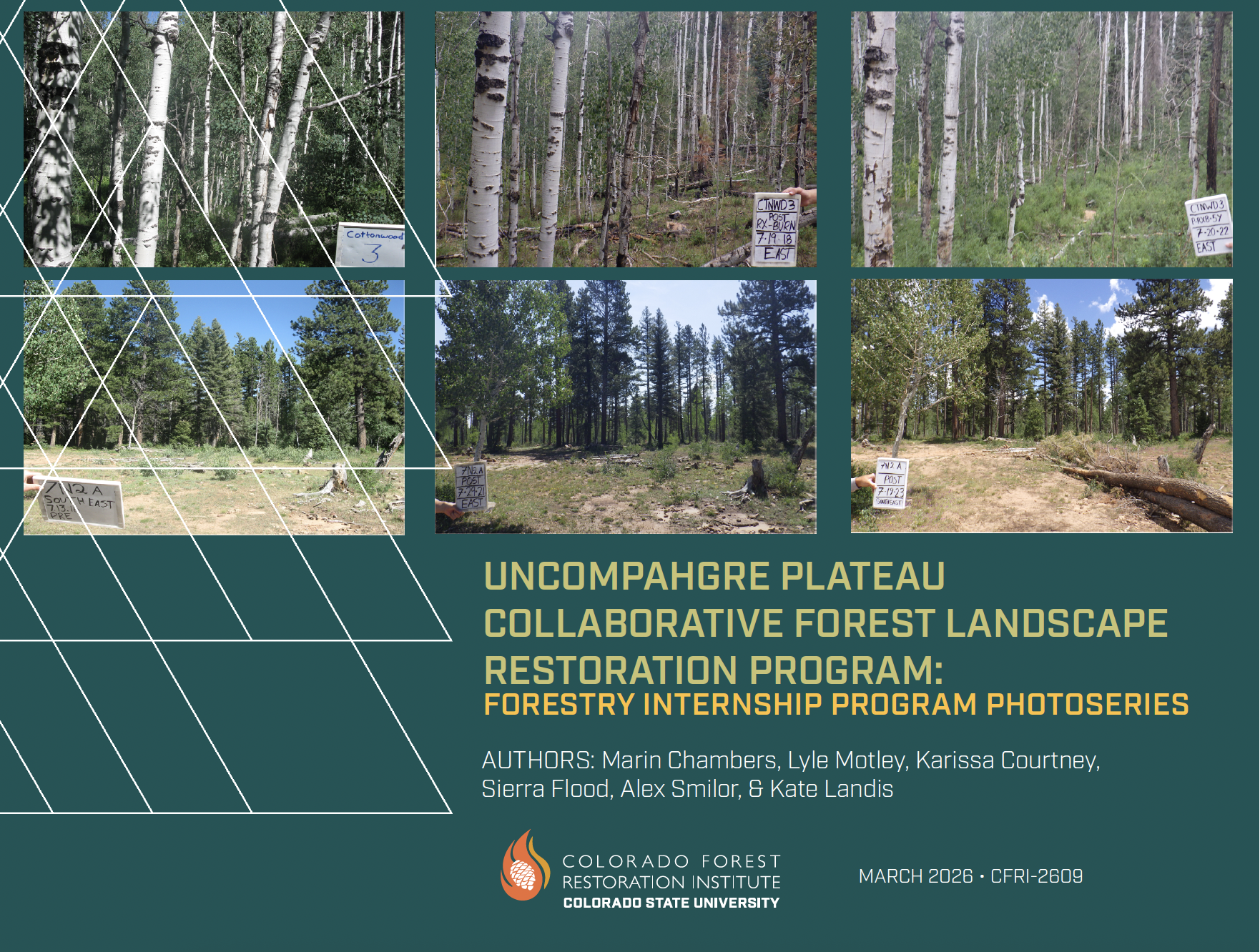 Uncompahgre Plateau Collaborative Landscape Restoration Program – Forestry Internship Program Photoseries